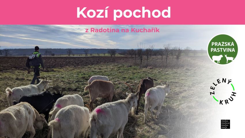 Kozí pochod - po stopách pastvin a motýlů